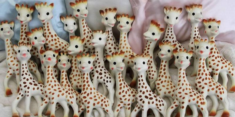multitude de sophie la girafe moisissures